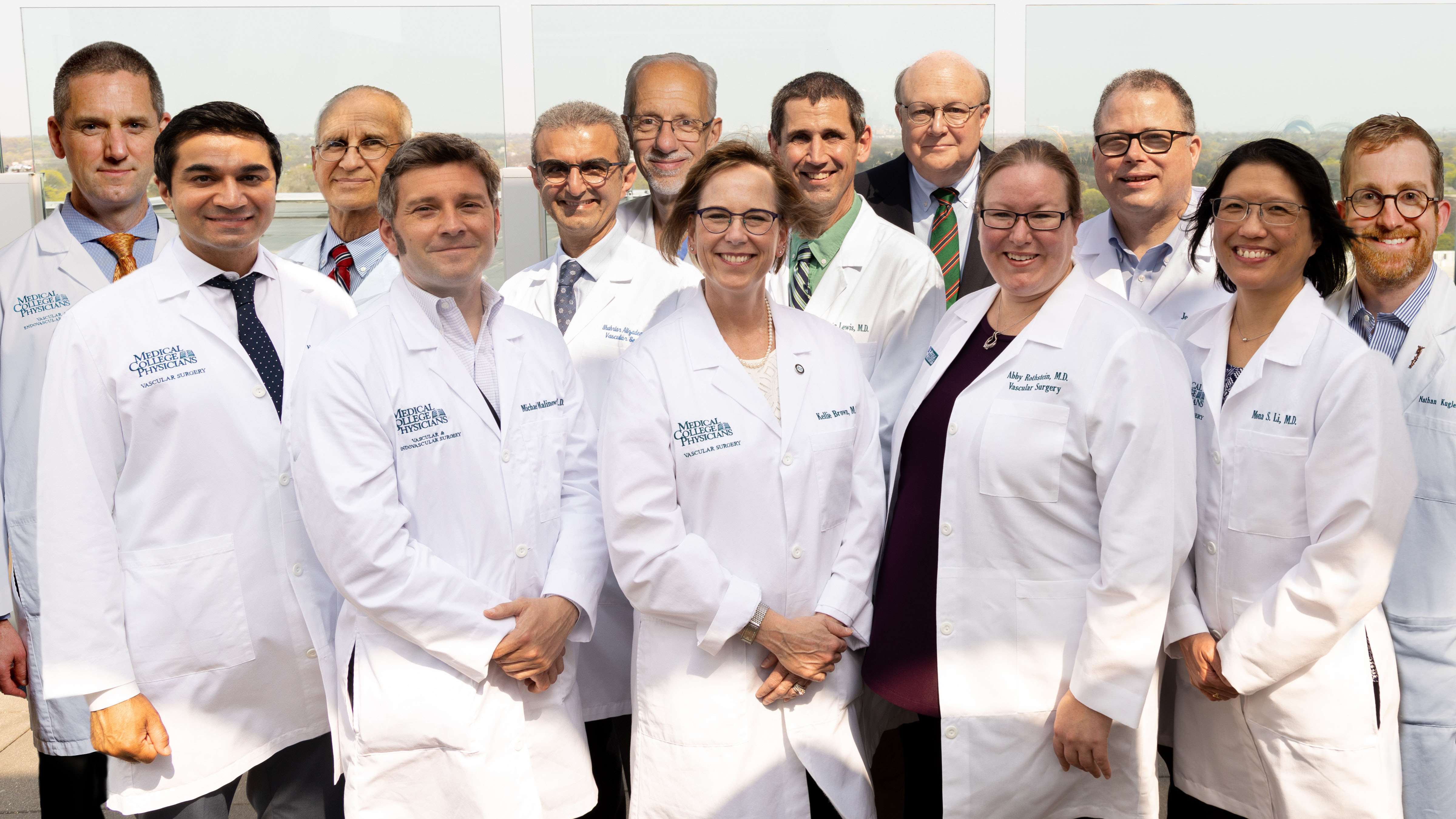 Division of Vascular and Endovascular Surgery Faculty