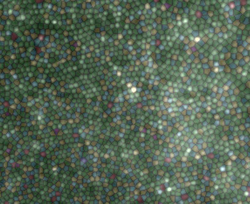 AO_flood_voronoi_11x9