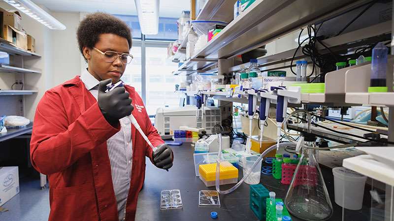 Student working in lab