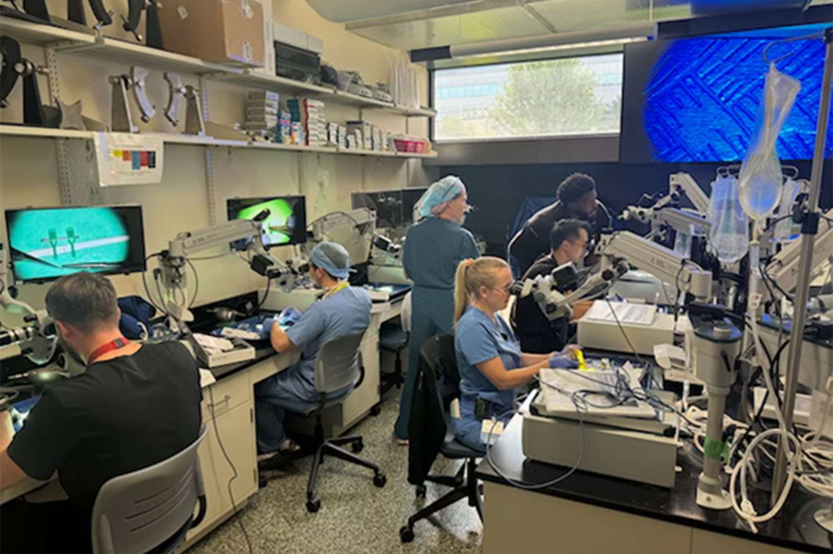 2024 Temporal Bone Drilling