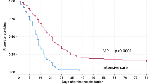 Milwaukee Protocol rabies survivor graph