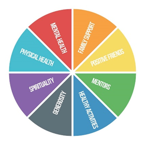 Sources of Strength in Schools Color Wheel