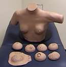 breast-model