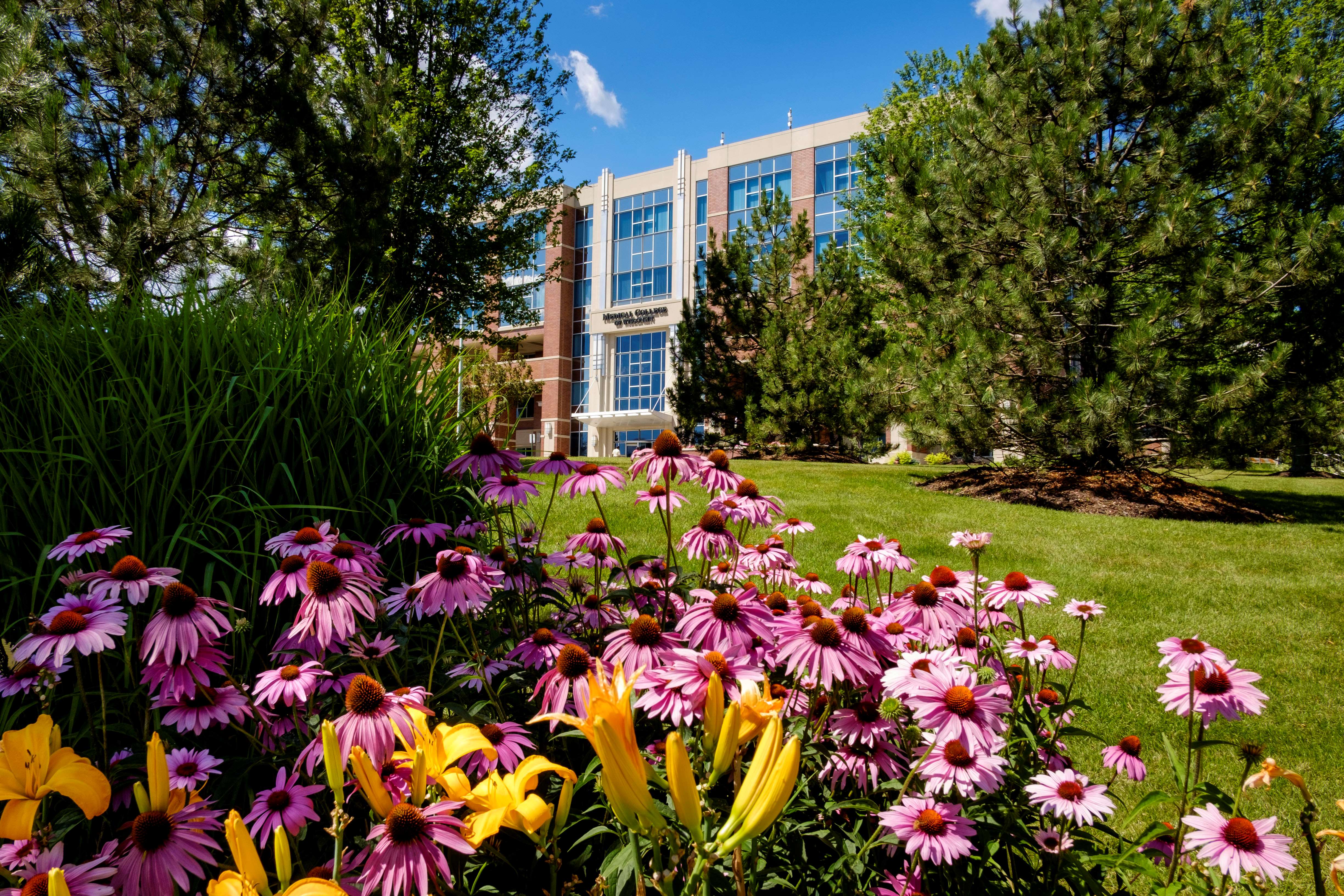 MCW building exterior with flowers and trees