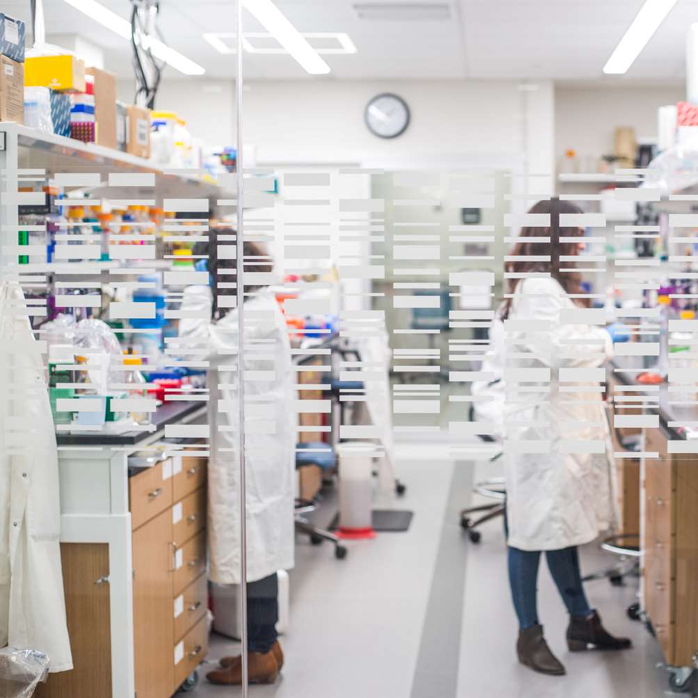 Looking at lab workers through a classroom window