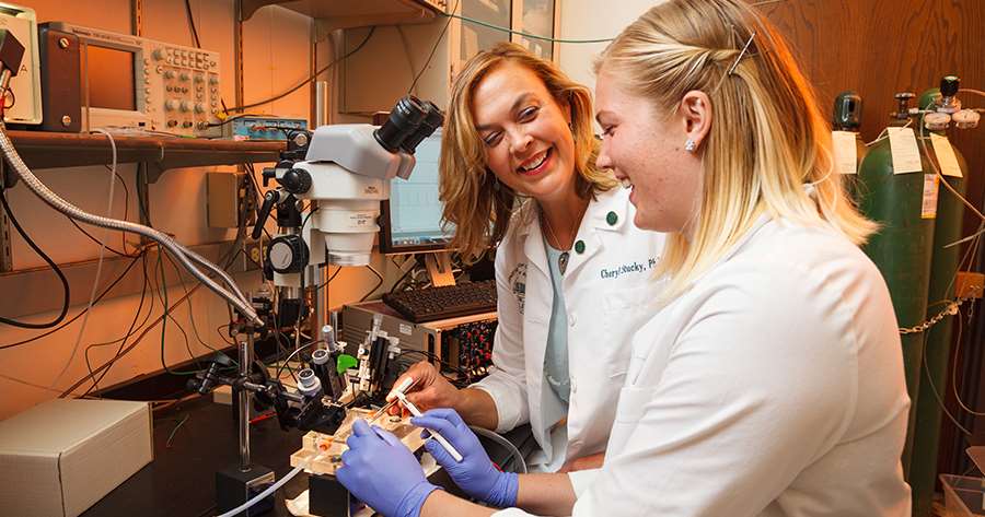 Cheryl Stucky lab
