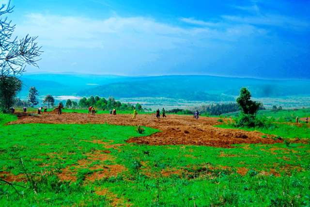 Farming in rural area of Rwanda