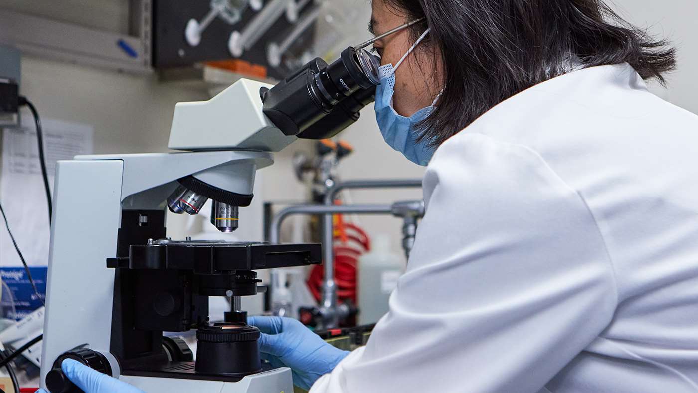 Female scientist doing research