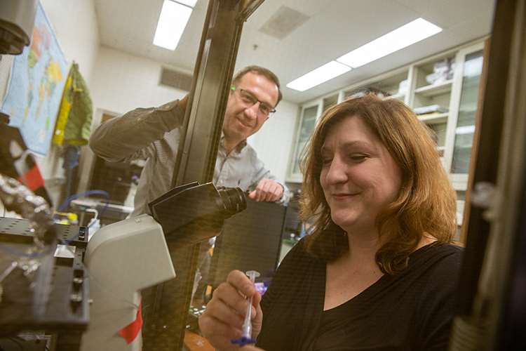 Christine A. Klemens, PhD, in lab of her mentor Alexander Staruschenko, PhD