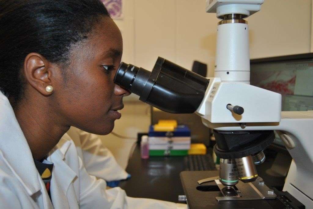 Stephanie Baguidy looking into a microscope
