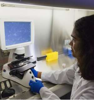 Sai-Suma Samudrala working in the Mitchell lab at MCW