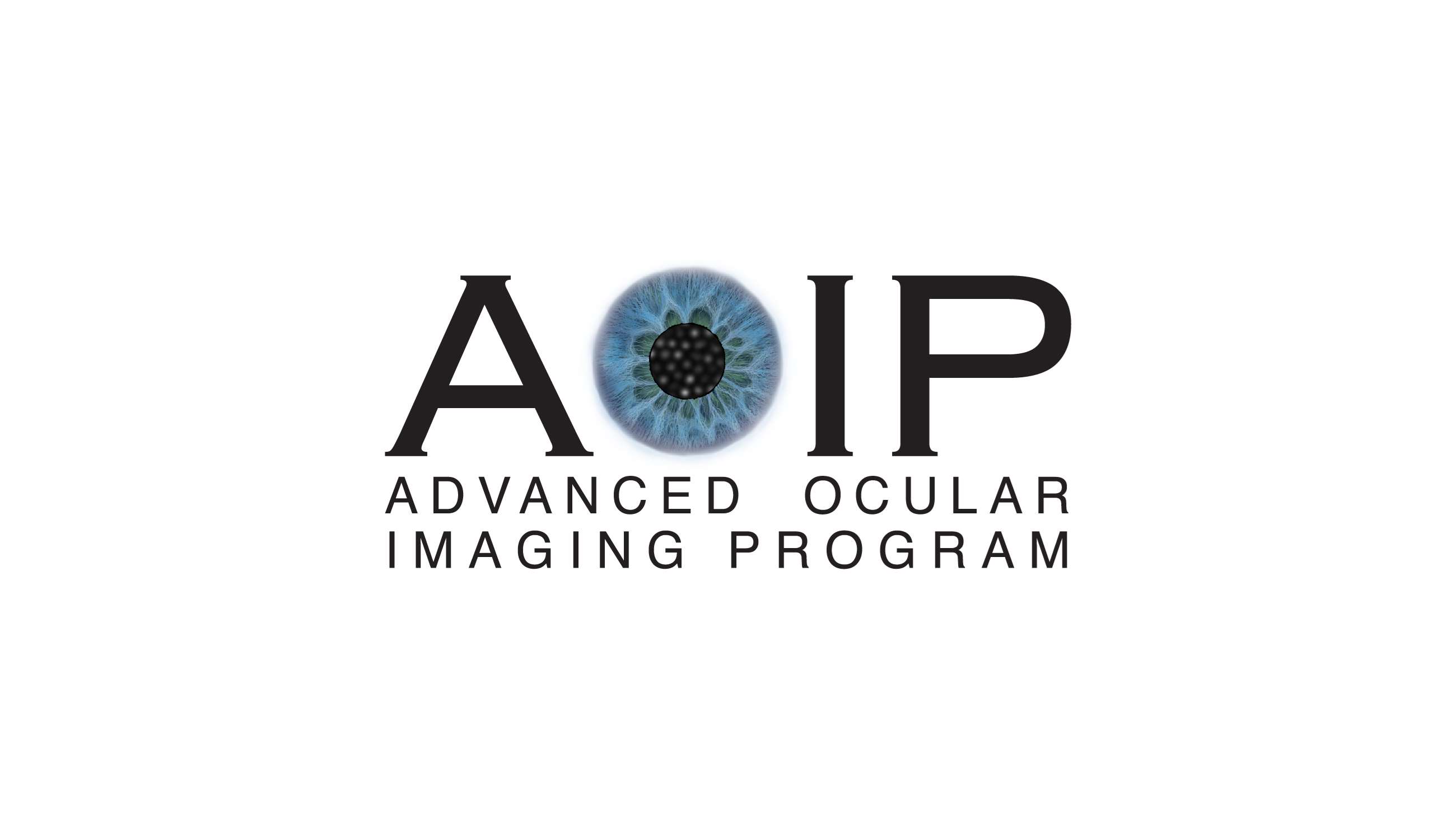AOIP Logo_ Intro Component