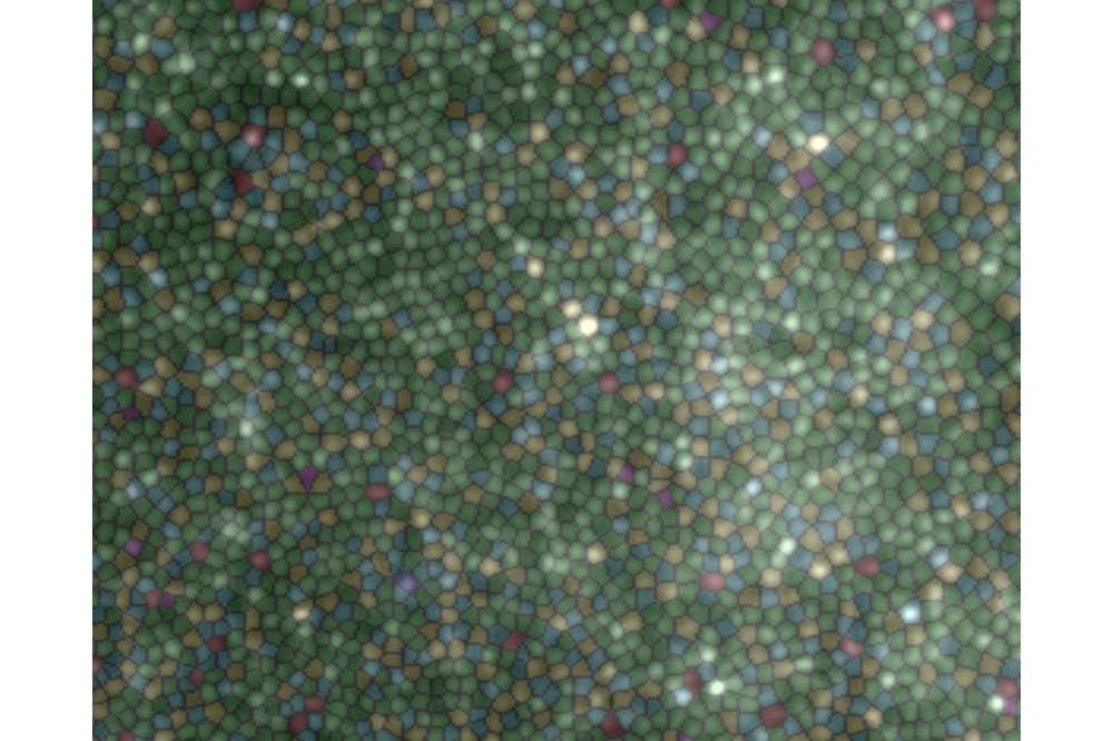 AO_flood_voronoi