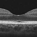 Carroll_2026