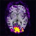 Duwell_BiorXiv_2024