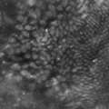 Follett_2024_thumbnail
