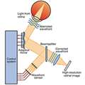 Godara_2010_OptomVisSci