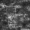 Kalitzeos_2017_Retina