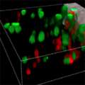 Kroeger_2021_PNAS