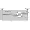 Langlo_2014_Retina