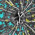 Pinhas_PLoSOne_2018
