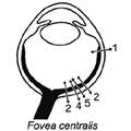 Provis_2013_PRER