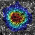 Rossi_2013_PLOS