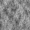 Scoles_2014_IOVS