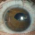 Untaroiu_2024_thumbnail