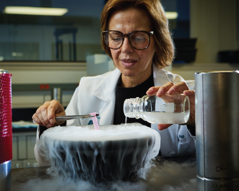 Dr. Marassi performing experiment