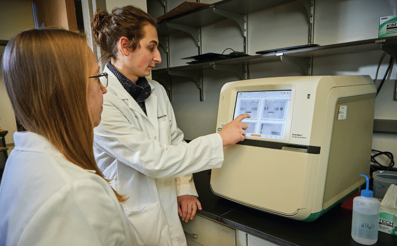 two lab personnel look at screen