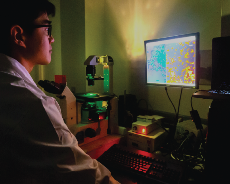 lab personnel looking at images on a screen in a darkroom