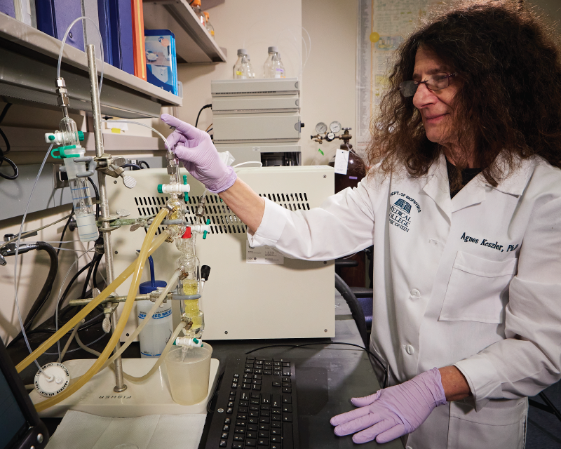 lab personnel running an experiment
