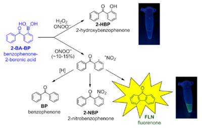 Zielonka_Analy Chem_Graphical Abstract