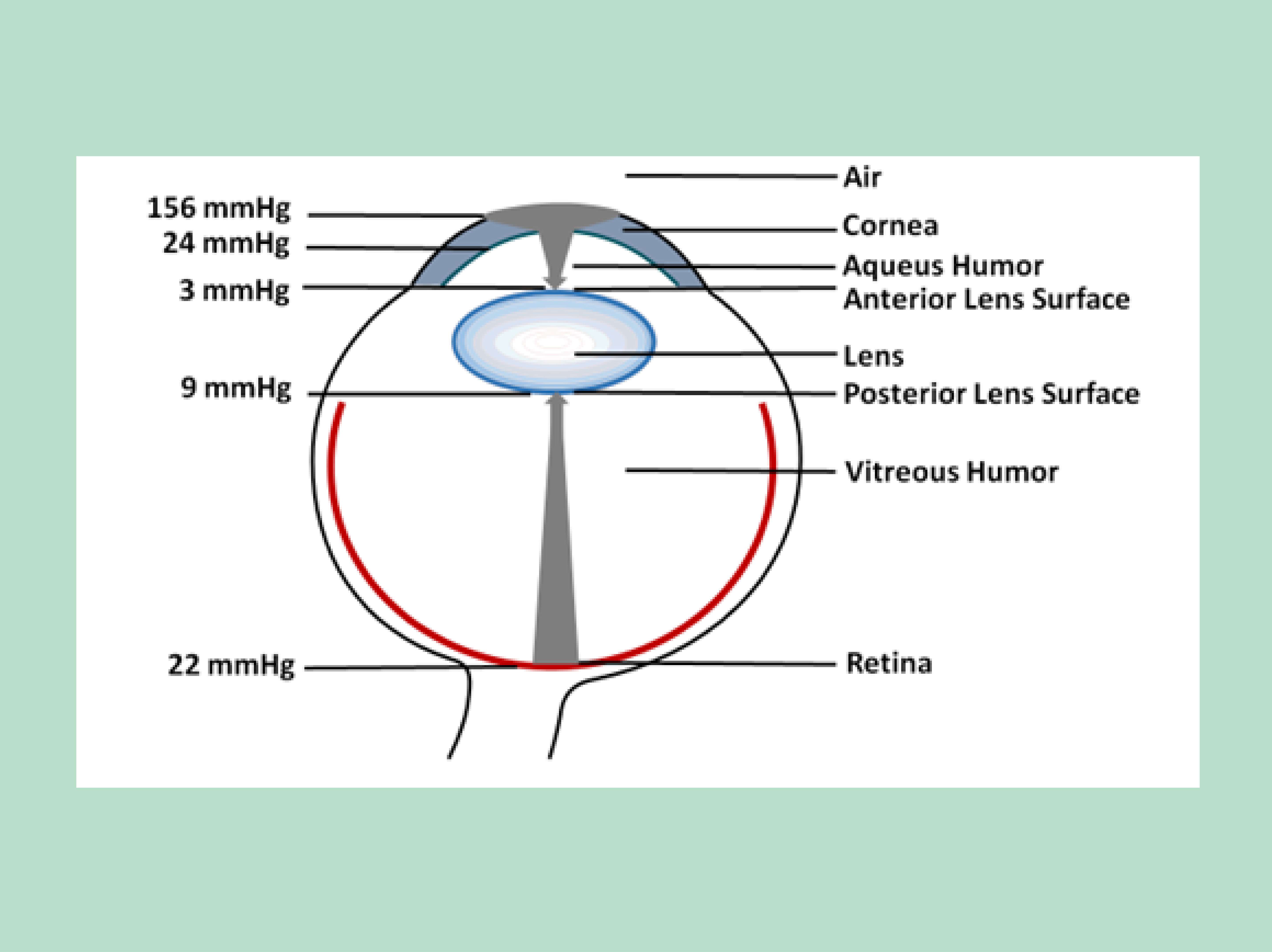 diagram of eye