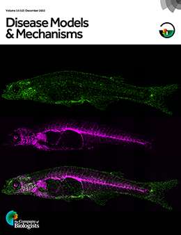 Disease Models and Mechanisms Dec. 2022 Vol. 15, No. 12 Journal Cover