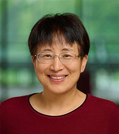 Xiaowen Bai, MD, PhD