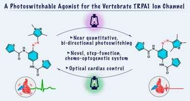 TRPswitch—A Step-Function Chemo-optogenetic Ligand for the Vertebrate TRPA1 Channel. Lam et al., JACS (2020)