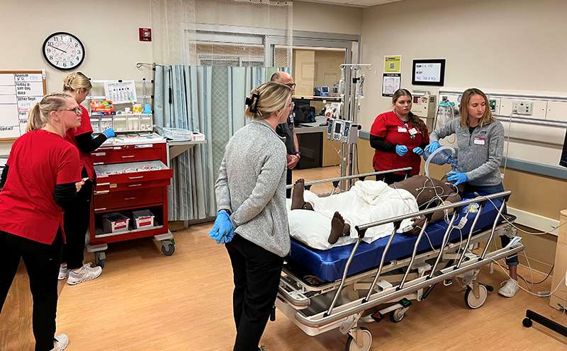 EM Simulation Fellowship