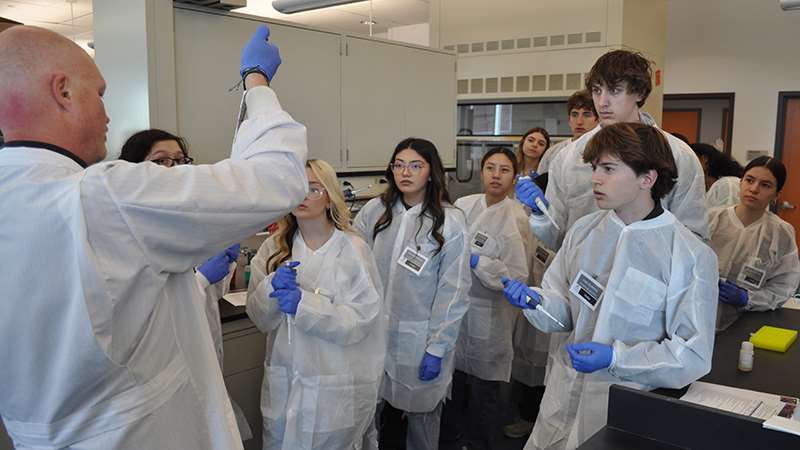 Students performing hands-on lab activities