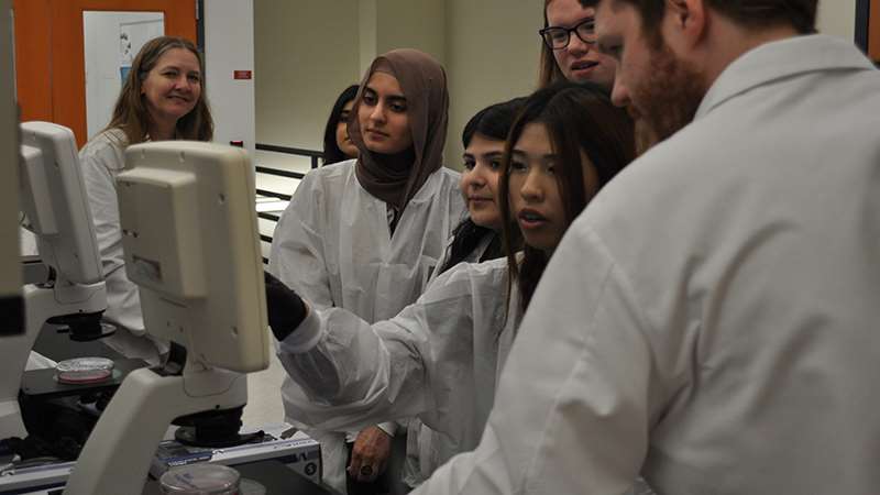 Students interacting with lab equipment