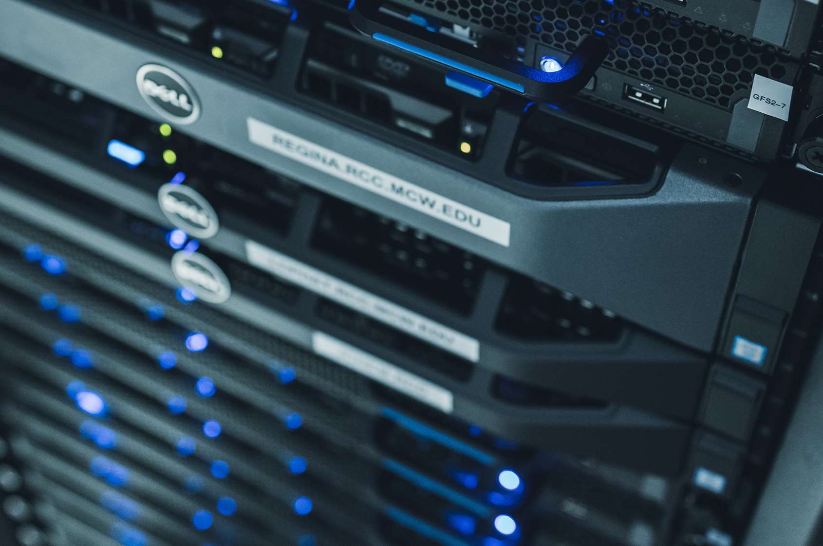 Servers for bioinformatics analysis