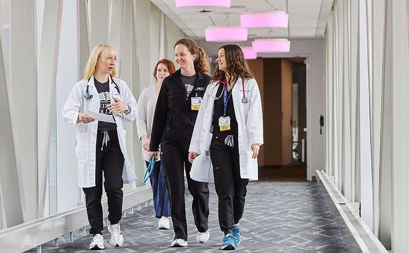 Image of four individuals walking and in conversation.