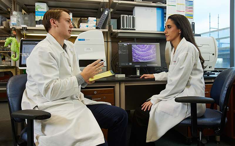 Image of two researchers in a conversation.