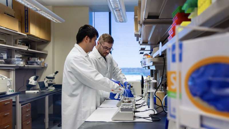 Two male researchers working in Drug and Gene Delivery Lab
