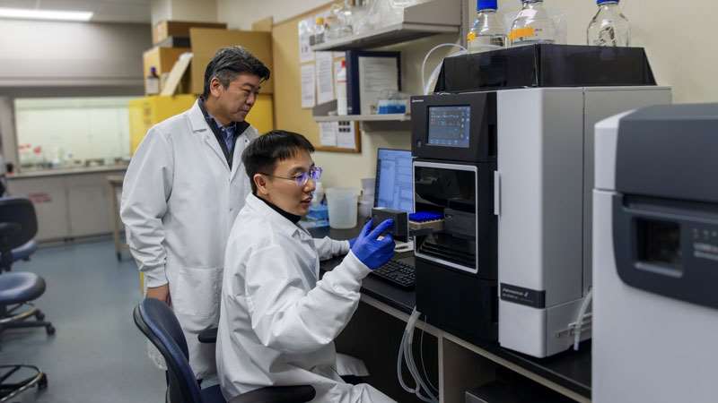 Dr. Yang and Student working in Drug and Gene Delivery Lab