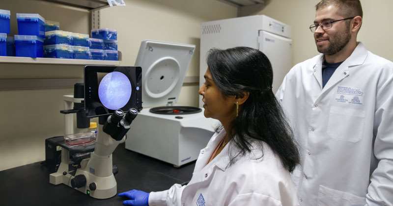 Researchers on Microscope in Drug and Gene Delivery Lab