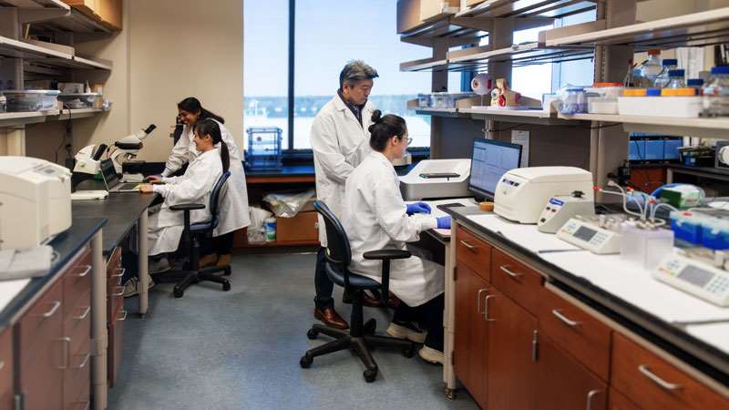 Drug and Gene Delivery Lab Workbench Wide
