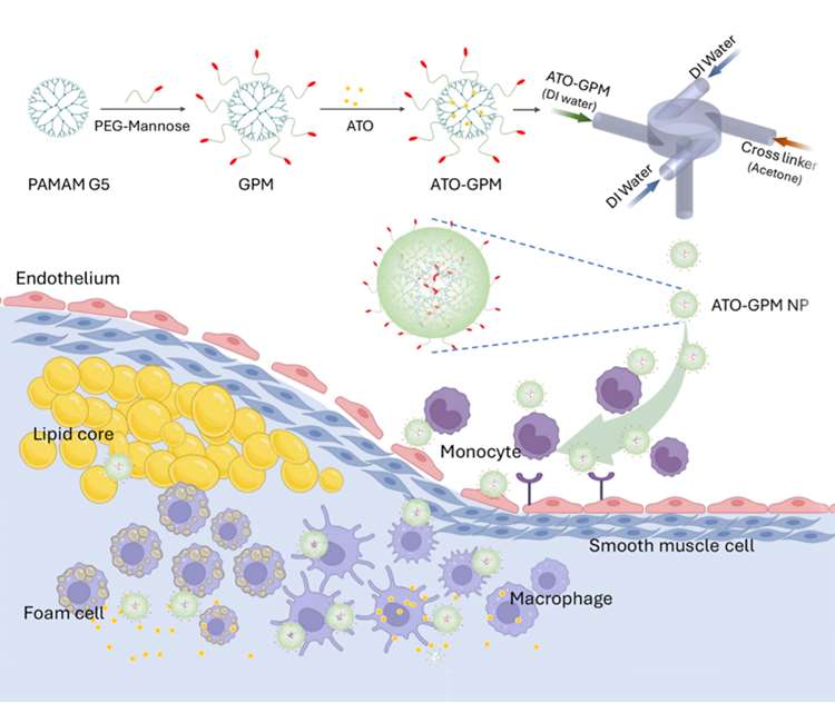 Multi-targeting and Theranotic Nanomedicine for Atheroscleorsis - decorative diagram