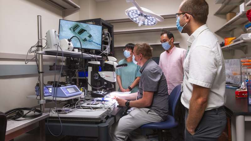 PDAT Lab | Medical College of Wisconsin